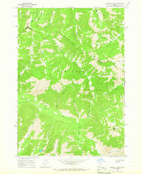 Marshall Peak Idaho Historical topographic map, 1:24000 scale, 7.5 X 7.5 Minute, Year 1964