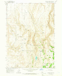 Mc Mullen Basin Idaho Historical topographic map, 1:24000 scale, 7.5 X 7.5 Minute, Year 1965