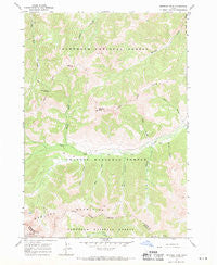 Meridian Peak Idaho Historical topographic map, 1:24000 scale, 7.5 X 7.5 Minute, Year 1967