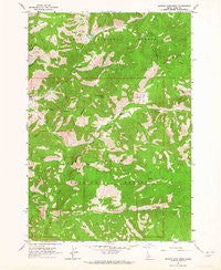 Meyers Cove Point Idaho Historical topographic map, 1:24000 scale, 7.5 X 7.5 Minute, Year 1963