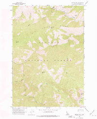 Mormon Mtn Idaho Historical topographic map, 1:24000 scale, 7.5 X 7.5 Minute, Year 1962