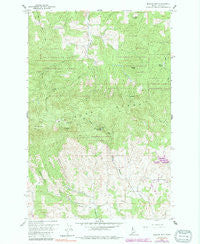 Moscow Mountain Idaho Historical topographic map, 1:24000 scale, 7.5 X 7.5 Minute, Year 1960