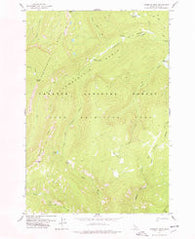 Mosquito Peak Idaho Historical topographic map, 1:24000 scale, 7.5 X 7.5 Minute, Year 1978