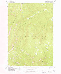 Mosquito Peak Idaho Historical topographic map, 1:24000 scale, 7.5 X 7.5 Minute, Year 1978