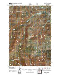 Mosquito Peak Idaho Historical topographic map, 1:24000 scale, 7.5 X 7.5 Minute, Year 2011