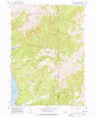 Mount Baird Idaho Historical topographic map, 1:24000 scale, 7.5 X 7.5 Minute, Year 1966