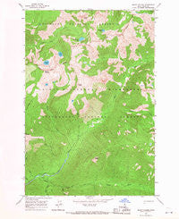 Mount Paloma Idaho Historical topographic map, 1:24000 scale, 7.5 X 7.5 Minute, Year 1966