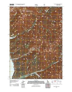 Mount Baird Idaho Historical topographic map, 1:24000 scale, 7.5 X 7.5 Minute, Year 2011