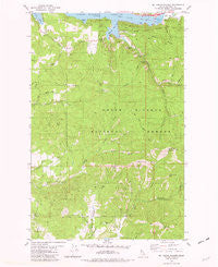 Mt. Coeur D'Alene Idaho Historical topographic map, 1:24000 scale, 7.5 X 7.5 Minute, Year 1981
