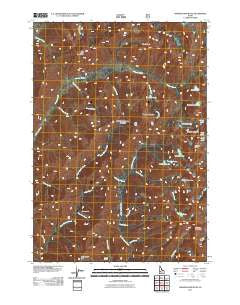 Nahneke Mountain Idaho Historical topographic map, 1:24000 scale, 7.5 X 7.5 Minute, Year 2011