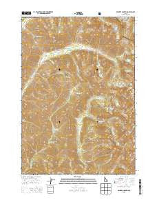 Nahneke Mountain Idaho Current topographic map, 1:24000 scale, 7.5 X 7.5 Minute, Year 2013