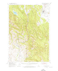 New Meadows Idaho Historical topographic map, 1:62500 scale, 15 X 15 Minute, Year 1954
