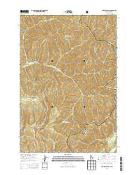 Nez Perce Peak Idaho Current topographic map, 1:24000 scale, 7.5 X 7.5 Minute, Year 2013