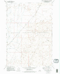 North Of Ryegrass Flat Idaho Historical topographic map, 1:24000 scale, 7.5 X 7.5 Minute, Year 1973