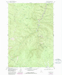 Orogrande Idaho Historical topographic map, 1:24000 scale, 7.5 X 7.5 Minute, Year 1979