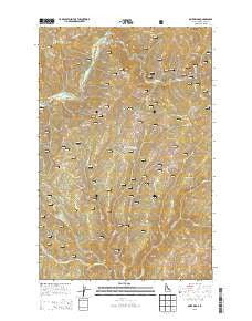 Osier Ridge Idaho Current topographic map, 1:24000 scale, 7.5 X 7.5 Minute, Year 2013