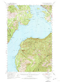 Packsaddle Mtn Idaho Historical topographic map, 1:62500 scale, 15 X 15 Minute, Year 1949