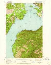 Packsaddle Mtn Idaho Historical topographic map, 1:62500 scale, 15 X 15 Minute, Year 1949