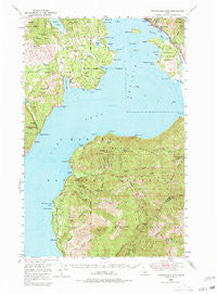 Packsaddle Mtn Idaho Historical topographic map, 1:62500 scale, 15 X 15 Minute, Year 1949