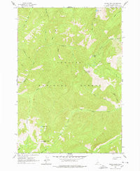 Pinyon Peak Idaho Historical topographic map, 1:24000 scale, 7.5 X 7.5 Minute, Year 1963