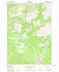 Placerville Idaho Historical topographic map, 1:24000 scale, 7.5 X 7.5 Minute, Year 1957
