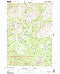 Placerville Idaho Historical topographic map, 1:24000 scale, 7.5 X 7.5 Minute, Year 1976