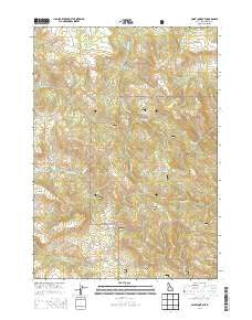 Point Lookout Idaho Current topographic map, 1:24000 scale, 7.5 X 7.5 Minute, Year 2013