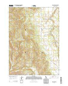 Poison Creek Idaho Current topographic map, 1:24000 scale, 7.5 X 7.5 Minute, Year 2013