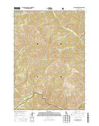 Pungo Mountain Idaho Current topographic map, 1:24000 scale, 7.5 X 7.5 Minute, Year 2013