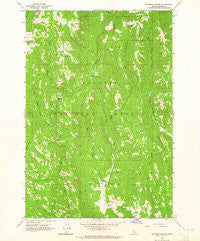Railroad Saddle Idaho Historical topographic map, 1:24000 scale, 7.5 X 7.5 Minute, Year 1963