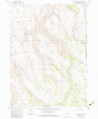 Rams Horn Ridge Idaho Historical topographic map, 1:24000 scale, 7.5 X 7.5 Minute, Year 1965