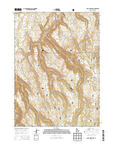 Rams Horn Ridge Idaho Current topographic map, 1:24000 scale, 7.5 X 7.5 Minute, Year 2013