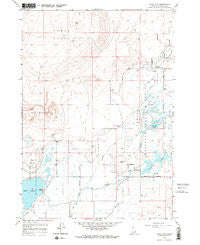 Rays Lake Idaho Historical topographic map, 1:24000 scale, 7.5 X 7.5 Minute, Year 1964
