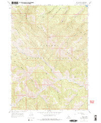 Red Ridge Idaho Historical topographic map, 1:24000 scale, 7.5 X 7.5 Minute, Year 1966