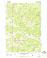 Red Ridge Idaho Historical topographic map, 1:24000 scale, 7.5 X 7.5 Minute, Year 1966
