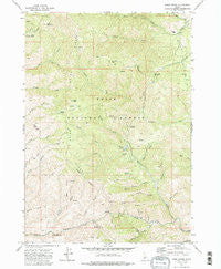 Robie Creek Idaho Historical topographic map, 1:24000 scale, 7.5 X 7.5 Minute, Year 1972