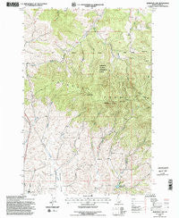 Robinson Lake Idaho Historical topographic map, 1:24000 scale, 7.5 X 7.5 Minute, Year 1994