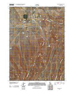 Rogerson Idaho Historical topographic map, 1:24000 scale, 7.5 X 7.5 Minute, Year 2010