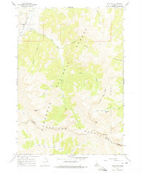 Ryan Peak Idaho Historical topographic map, 1:24000 scale, 7.5 X 7.5 Minute, Year 1967