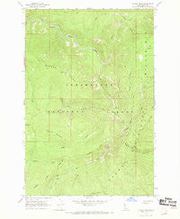 Savage Ridge Idaho Historical topographic map, 1:24000 scale, 7.5 X 7.5 Minute, Year 1966