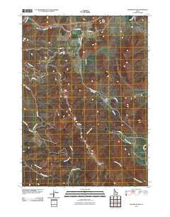 Sedgwick Peak Idaho Historical topographic map, 1:24000 scale, 7.5 X 7.5 Minute, Year 2010