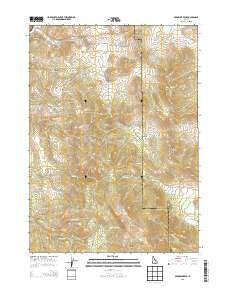 Sedgwick Peak Idaho Current topographic map, 1:24000 scale, 7.5 X 7.5 Minute, Year 2013