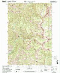 Shewag Lake Idaho Historical topographic map, 1:24000 scale, 7.5 X 7.5 Minute, Year 1997