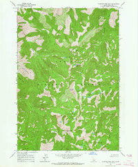 Sleeping Deer Mountain Idaho Historical topographic map, 1:24000 scale, 7.5 X 7.5 Minute, Year 1963