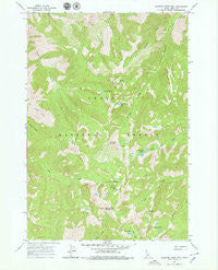 Sleeping Deer Mountain Idaho Historical topographic map, 1:24000 scale, 7.5 X 7.5 Minute, Year 1963