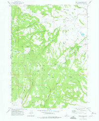 Smith Creek Idaho Historical topographic map, 1:24000 scale, 7.5 X 7.5 Minute, Year 1973