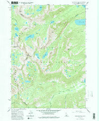Snowyside Peak Idaho Historical topographic map, 1:24000 scale, 7.5 X 7.5 Minute, Year 1964