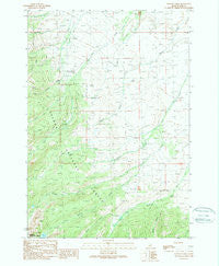 Stroud Creek Idaho Historical topographic map, 1:24000 scale, 7.5 X 7.5 Minute, Year 1989