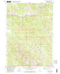 Stump Peak Idaho Historical topographic map, 1:24000 scale, 7.5 X 7.5 Minute, Year 1980