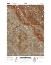 Teapot Dome Idaho Historical topographic map, 1:24000 scale, 7.5 X 7.5 Minute, Year 2010